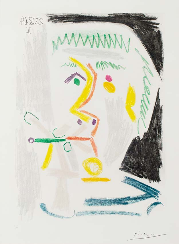 picasso5028